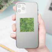 緑おもしろい実在紋様おもしろい シール (スマートフォン)