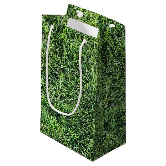 緑おもしろい実在紋様おもしろい スモールペーパーバッグ (正面アングル)