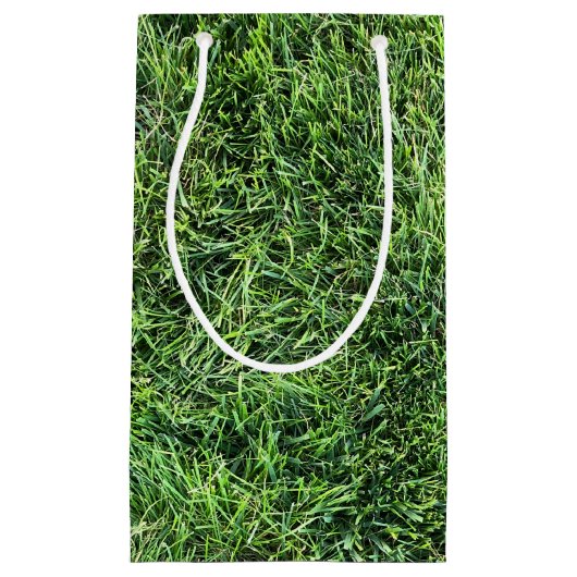 緑おもしろい実在紋様おもしろい スモールペーパーバッグ (正面)