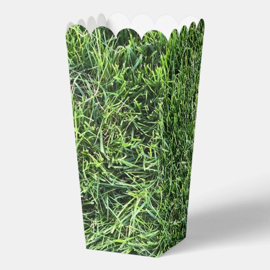 緑おもしろい実在紋様おもしろい フェイバーボックス (裏面)