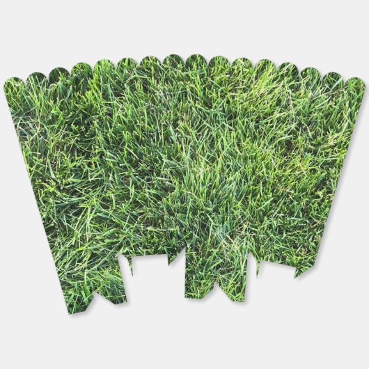 緑おもしろい実在紋様おもしろい フェイバーボックス (見開き)