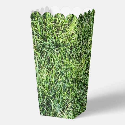 緑おもしろい実在紋様おもしろい フェイバーボックス (正面)