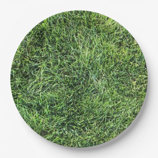 緑おもしろい実在紋様おもしろい ペーパープレート (正面)