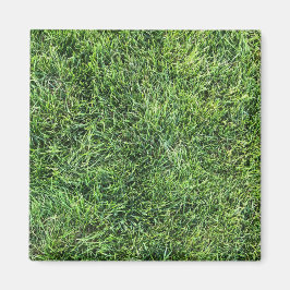 緑おもしろい実在紋様おもしろい マグネット