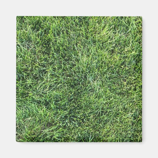 緑おもしろい実在紋様おもしろい マグネット (正面)