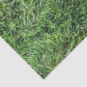 緑おもしろい実在紋様おもしろい 薄葉紙 (詳細)