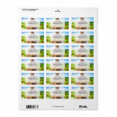 緑おもしろい野で子猫 ラベル (フルシート)