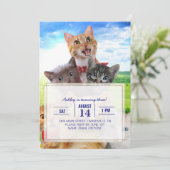 緑おもしろい野で子猫 招待状 (スタンド正面)