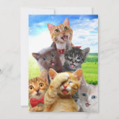 緑おもしろい野で子猫 招待状 (裏面)