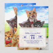 緑おもしろい野で子猫 招待状 (正面/裏面)