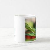 緑および黒いトンボのマグ コーヒーマグカップ (中央)