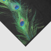 緑および黒い孔雀の羽 薄葉紙 (詳細)