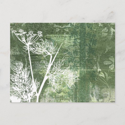 緑かわいらしと白のタンポポ種子ヴィンテージ ポストカード (正面)
