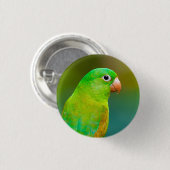緑かわいらしのオウム写真 缶バッジ (正面&裏面)