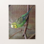 緑かわいらしのParaket写真 ジグソーパズル (縦)