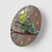 緑かわいらしのParaket写真 ラウンド壁時計 (傾斜)