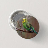 緑かわいらしのParaket写真 缶バッジ (正面&裏面)