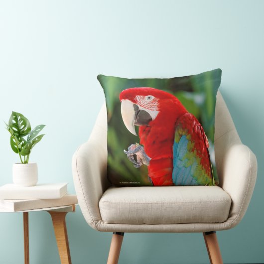 緑かわいらしカラフルの翼を持つマカのオウム クッション (椅子)