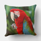 緑かわいらしカラフルの翼を持つマカのオウム クッション (裏面)