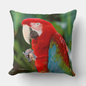 緑かわいらしカラフルの翼を持つマカのオウム クッション (正面)