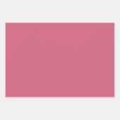 緑とピンクかわいい鳥のベビーシャワーラッピング紙 ラッピングペーパーシート (正面3)