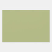 緑とピンクかわいい鳥のベビーシャワーラッピング紙 ラッピングペーパーシート (正面2)