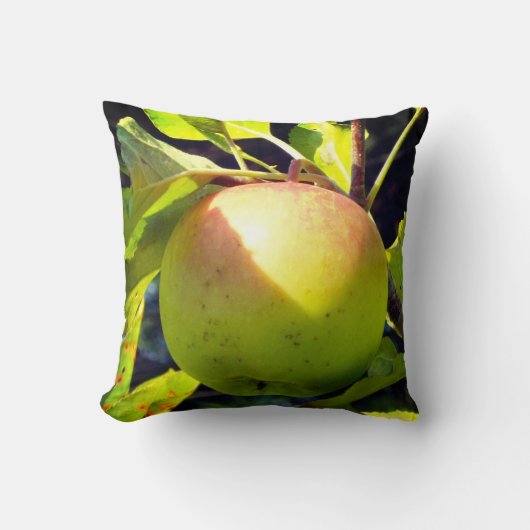 緑とピンクのリンゴ クッション (正面)