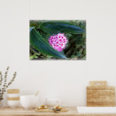 緑とピンク ポスター (キッチン)