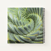 緑と白の多肉果 ノートブック (裏面)