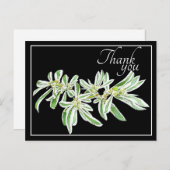緑と白の葉 黒い背景 サンキュー ポストカード (正面/裏面)
