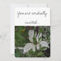 緑と白葉の結婚: