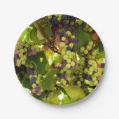 緑と紫のブドウがつる植物 ペーパープレート (正面)