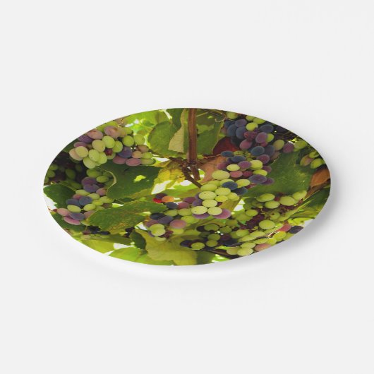 緑と紫のブドウがつる植物 ペーパープレート (アングル)