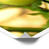 緑と赤のさくらんぼトマトのつる植物 ポスター (角)