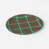 緑と赤のチェック ペーパープレート (アングル)