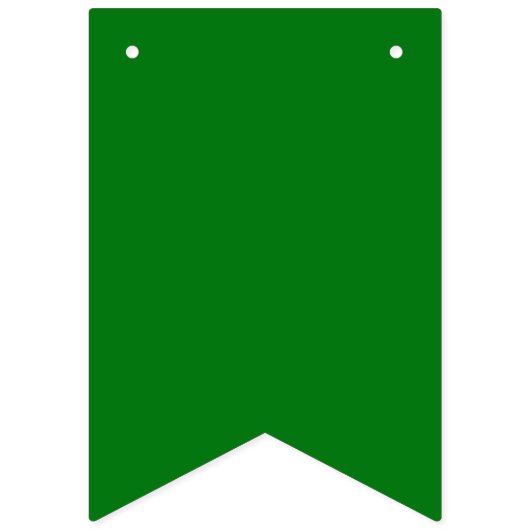 緑と赤の格子縞 バンティングフラッグ (第3の旗)