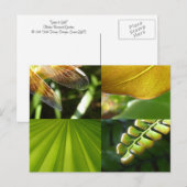 緑と金ゴールドのはがき ポストカード (正面/裏面)