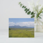 緑と金ゴールドのフィールド ポストカード (スタンド正面)