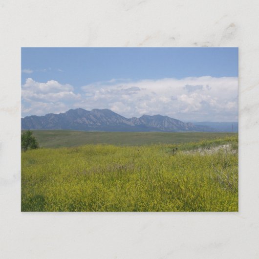 緑と金ゴールドのフィールド ポストカード (正面)