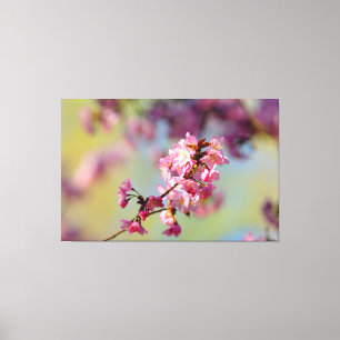 緑と青と紫の上に咲く桜の花のクラスター キャンバスプリント