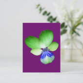 緑と青のパンジーはがき ポストカード (スタンド正面)