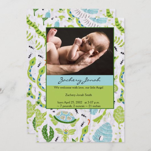 緑と青の動物の写真男の赤ちゃん発表 案内状 (正面/裏面)