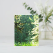 緑と青 ポストカード (スタンド正面)