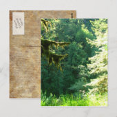 緑と青 ポストカード (正面/裏面)