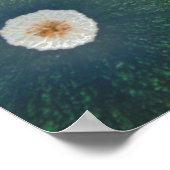 緑と黄色のスカッシュ ポスター (角)