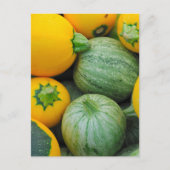 緑と黄色のスカッシュ ポストカード (正面)