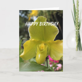 緑と黄色の蘭の花 お誕生日おめでとう カード
