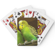 緑と黄色のParaket写真