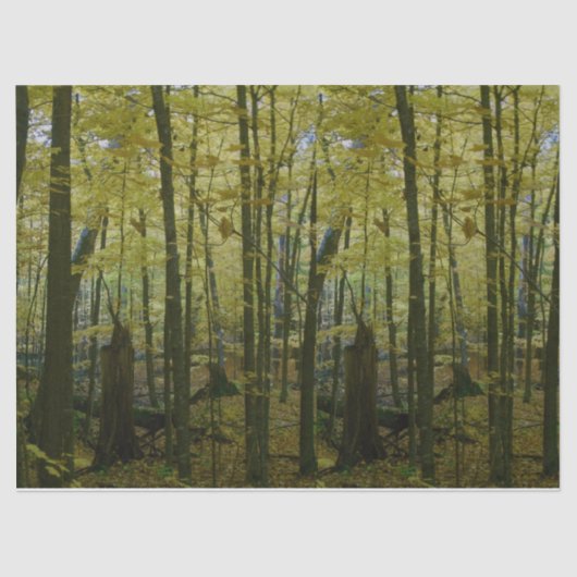 緑と黒の木のティッシュペーパー 薄葉紙 (正面)