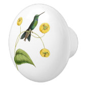 緑によって戴冠させる華麗なハチドリ セラミックノブ (右)